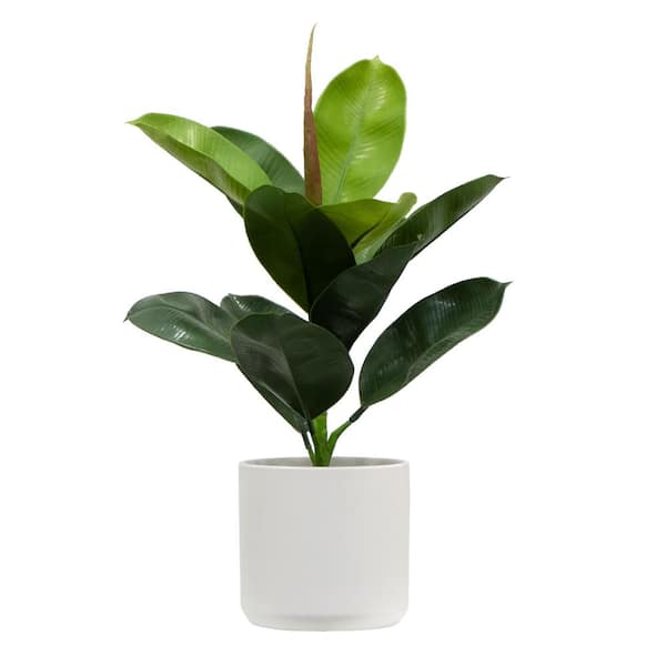 Nearly Natural 20 in. Rubber Tree Artificial Plant