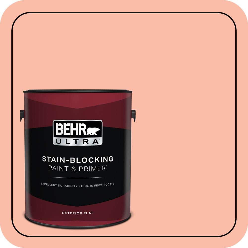 1 gal. #200A-3 Blushing Apricot Flat Exterior Paint & Primer price history on PriceWatchPro