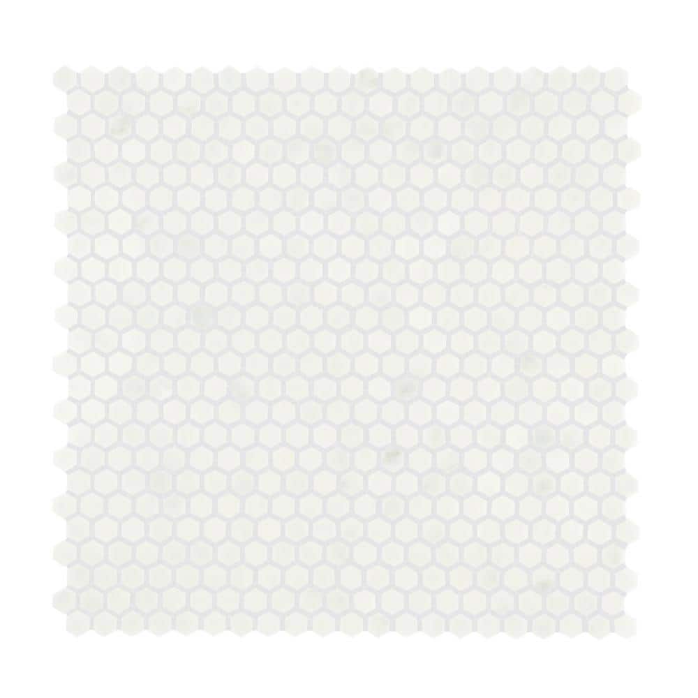 Premier Accents White Carrara 3 in. x 3 in. Marble Hexagon Mosaic Tile Sample price history on PriceWatchPro