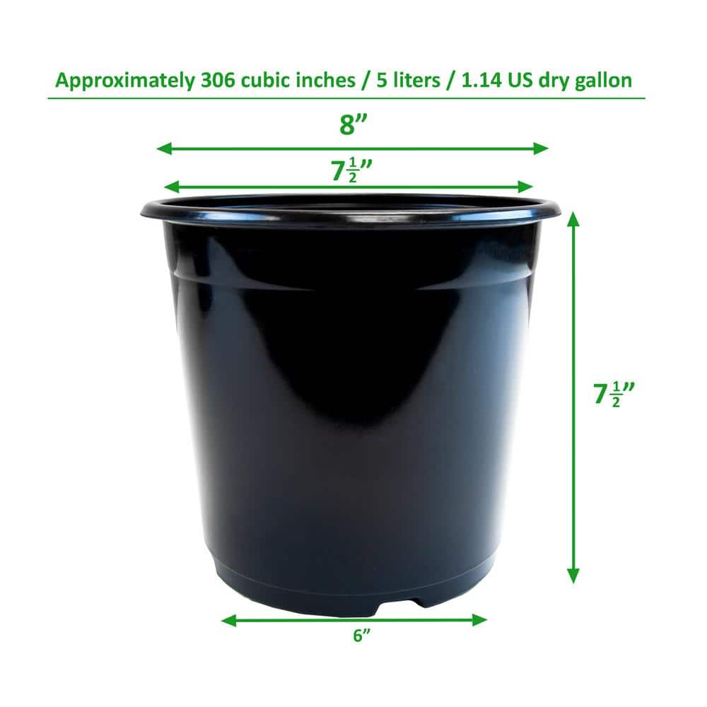 Black Plastic Small Round Nursery Pots Set of 12
