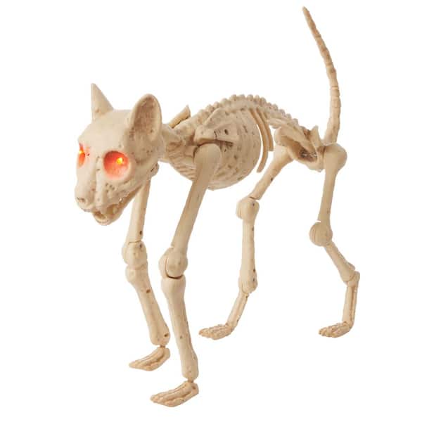 Halloween Classics Animated LED Skeleton Cat
