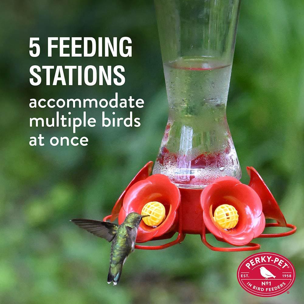 Red Glass and Plastic Hanging Hummingbird Feeder, 11-inch