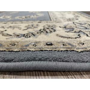 Alba Gray-blue 8 ft. x 10 ft. Traditional Oriental Scroll Area Rug