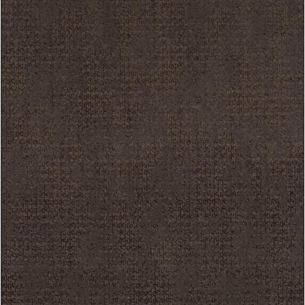 Elegant Dosinia - Dakota - Brown 48.8 oz. Nylon Pattern Installed Carpet