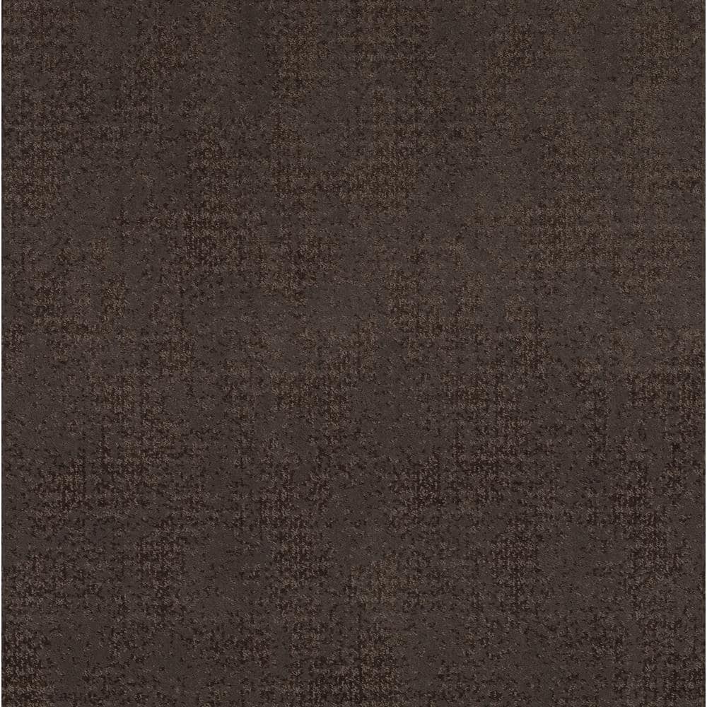 8 in. x 8 in. Pattern Carpet Sample - Elegant Dosinia - Color Dakota price history on PriceWatchPro