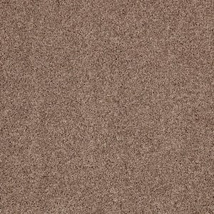 Gemini I - Stonington Beige - Brown 38 oz. Polyester Texture Installed Carpet