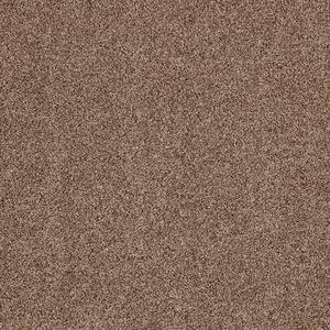 Gemini II - Color Stonington Beige Indoor Texture Brown Carpet
