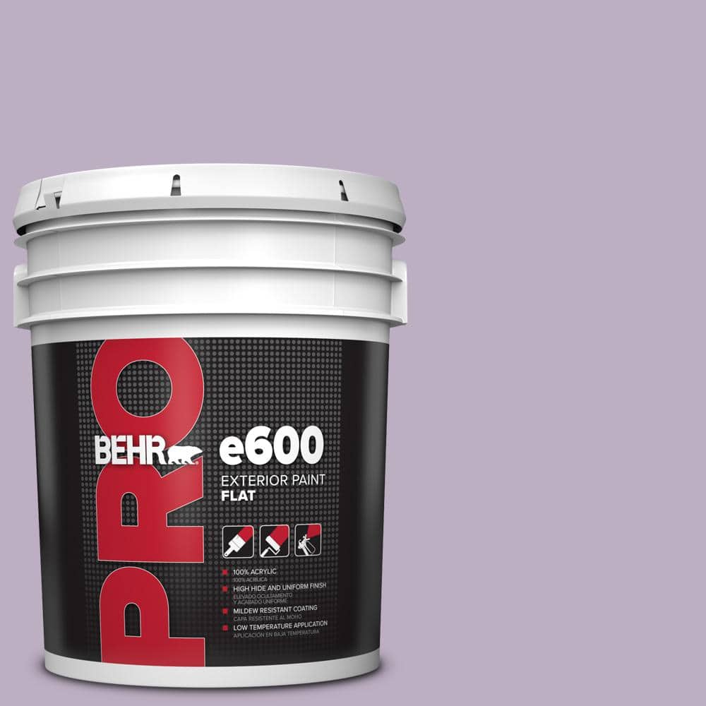 5 gal. #S100-3 Courtly Purple Flat Exterior Paint price history on PriceWatchPro