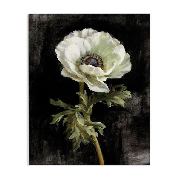 Stupell Industries Anemone on Black by Danhui Nai Unframed Nature Graphic Art Print 20 in. x 16 in.