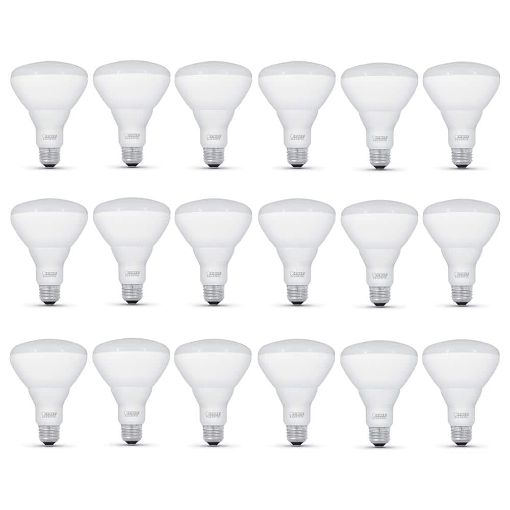 Feit Electric 65-Watt Equivalent BR30 Dimmable CEC ENERGY STAR 90+ CRI ...