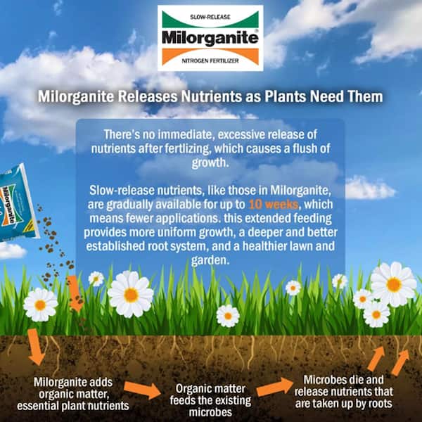 32 lbs. 2,500 sq. ft. Organic Slow-Release Nitrogen Lawn and Garden Dry Lawn Fertilizer 6-4-0 Pallet (63 bags)