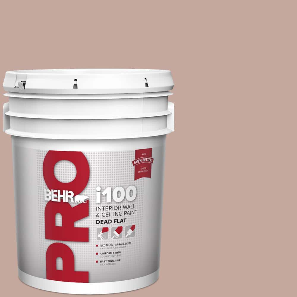 5 gal. #HDC-NT-06 Patchwork Pink Dead Flat Interior Paint price history on PriceWatchPro