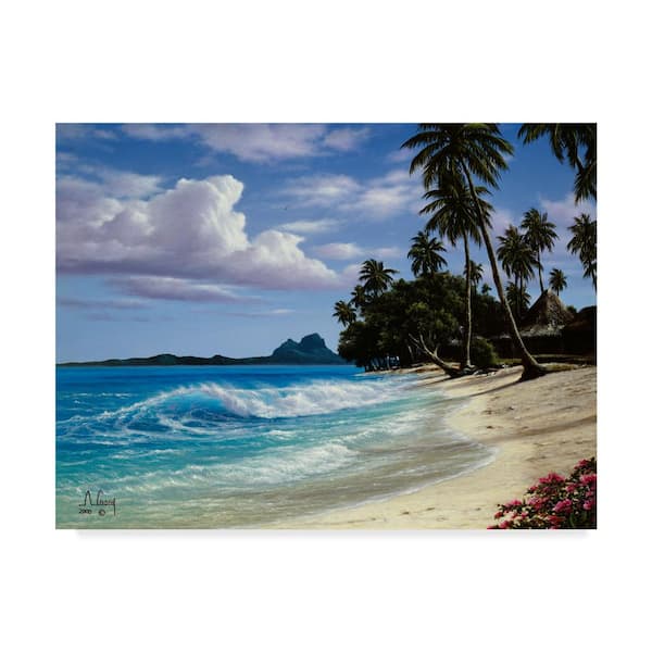 Trademark Fine Art 14 in. x 19 in. Tropical Beach by Anthony Casay Floater Frame Nature Wall Art
