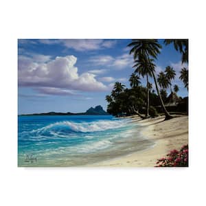 Tropical Beach by Anthony Casay Floater Frame Nature Wall Art 24 in. x 32 in.