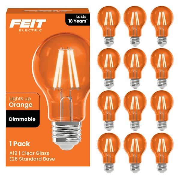25-Watt Equivalent A19 Dimmable Filament Orange Colored Glass E26 Medium Base LED Light Bulb (12-Pack)
