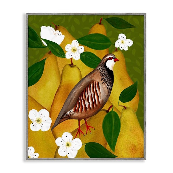 Stupell Industries Partridge Bird and Pears by Michelle Ingari Designs Gray Framed Food Giclee Art Print 14 in. x 11 in.