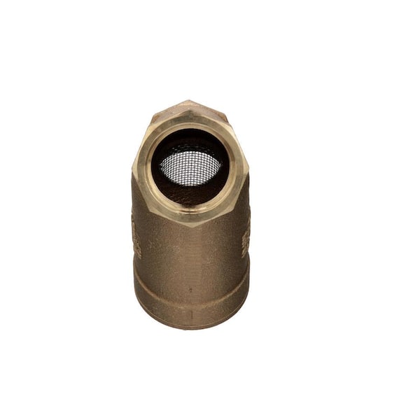 Wilkins 1 in. SXL Cast Bronze Wye Type Strainer, Lead Free Fitting