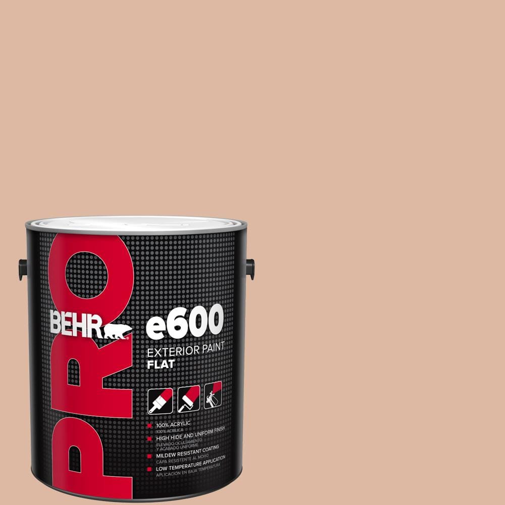 1 gal. #ECC-60-1 Coral Bay Flat Exterior Paint product image for price tracking
