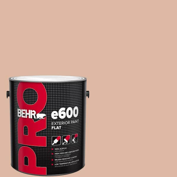 BEHR PRO 1 gal. #ECC-60-1 Coral Bay Flat Exterior Paint