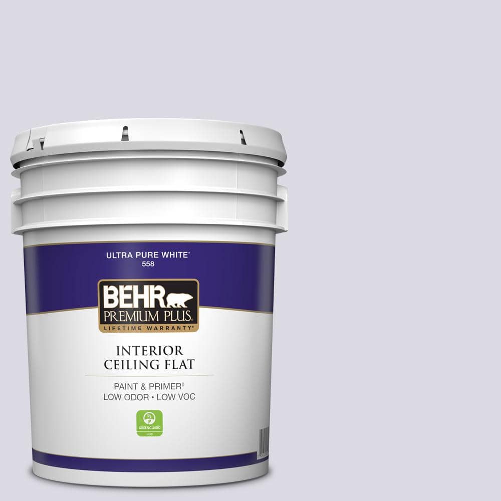 5 gal. #S570-1 Misty Lavender Ceiling Flat Interior Paint price history on PriceWatchPro