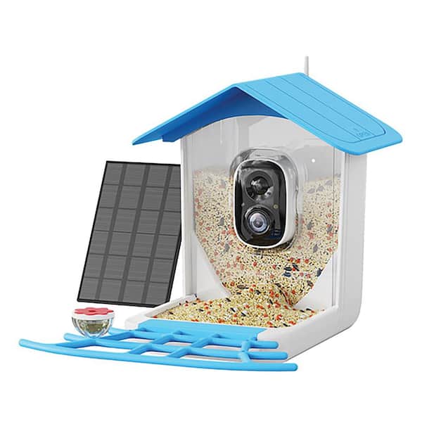 PerchMe Sky Blue Canopy Plastic Camera Equipped Bird Feeders