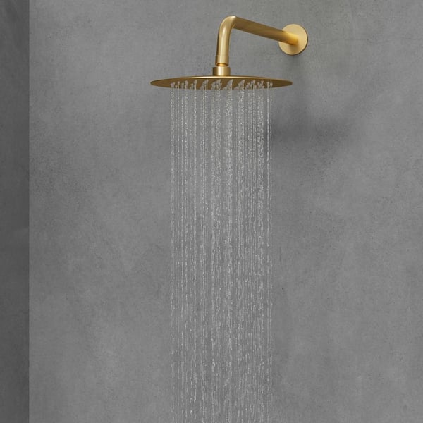 2-Spray Patterns Round 10 in. Wall Mount Dual Shower Heads with Handheld in Brushed Gold (Valve Included)