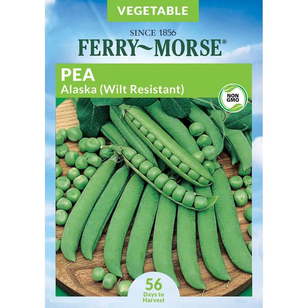 Ferry-Morse Pea Alaska Wilt Resistant Fruit Seed