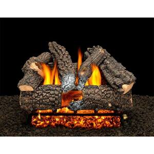 Aspen Whisper 18 in. Vented Natural Gas Fireplace Logs, Complete Set with Pilot Kit and On/Off Variable Height Remote
