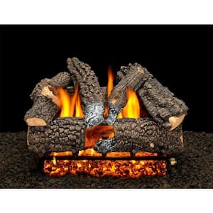 Aspen Whisper 18 in. Vented Propane Gas Fireplace Logs, Complete Set with Pilot Kit and On/Off Variable Height Remote