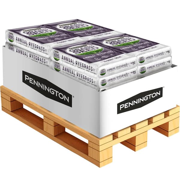 Annual Ryegrass 50 lb. 10,000 sq. ft. Grass Seed Pallet (24 bags)