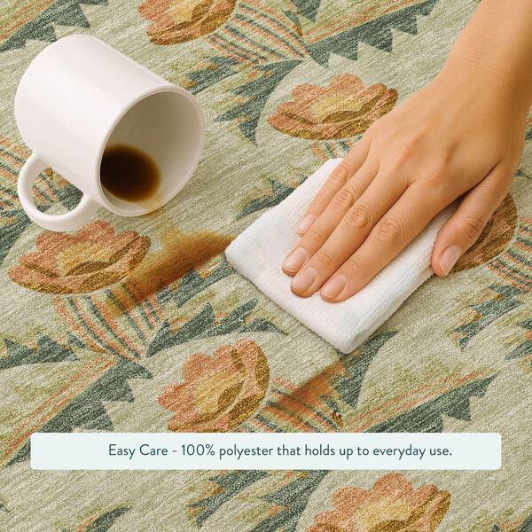 Addison Rugs Chantille Machine Washable Indoor/Outdoor Abstract