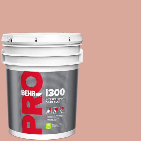 BEHR PRO 5 gal. #PMD-70 Cottage Rose Dead Flat Interior Paint