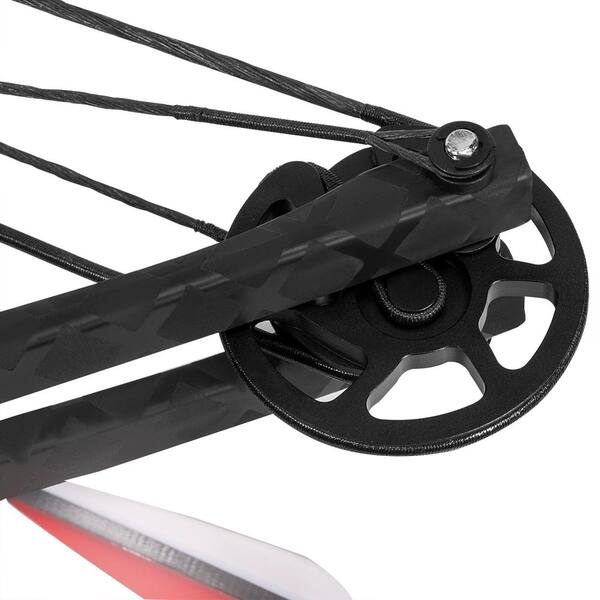 380 FPS Multi-Functional Archery Hunting Crossbow with Built in Scope Package (165 lbs. Draw Weight)