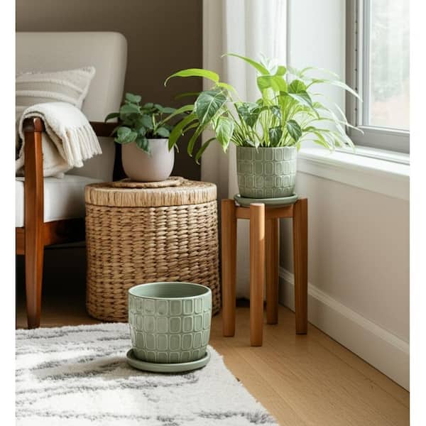 6 in. and 8 in. Green Ceramic Round Squoval Saucer Decorative Pots (Set of 2)