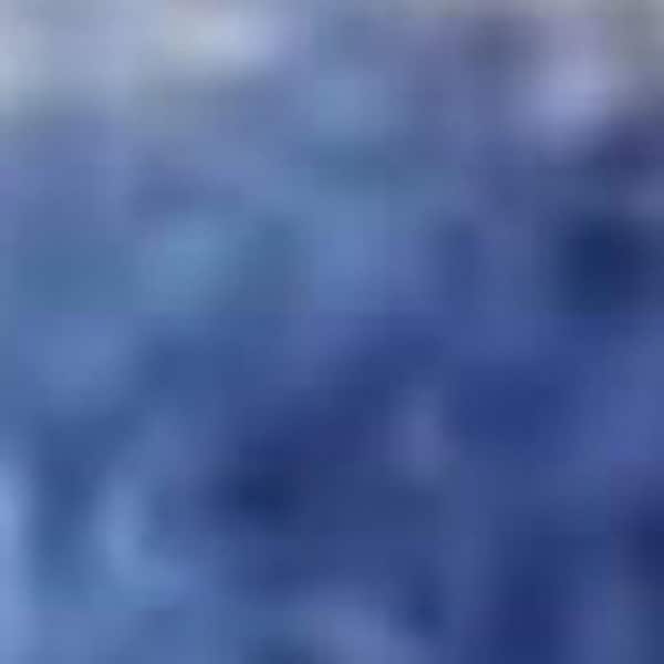 3 ft. x 5 ft. Ivory and Blue Floral Distressed Area Rug