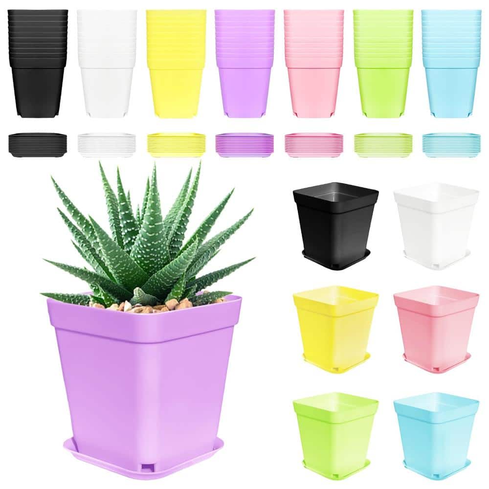 70-Piece 3 Inch Square Plastic Plant Pots with Saucers, Drainage