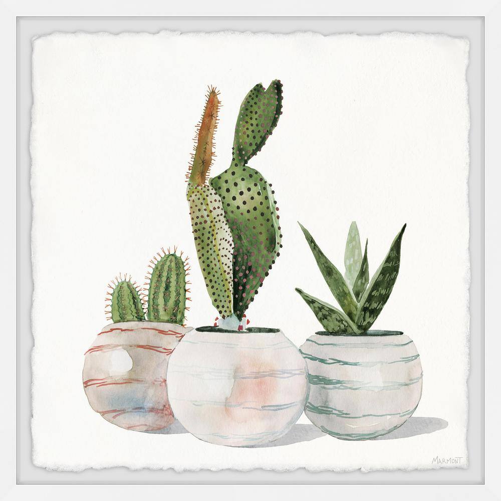 Cactus Planters by Parvez Taj Framed Nature Art Print 18 in. x 18 in.