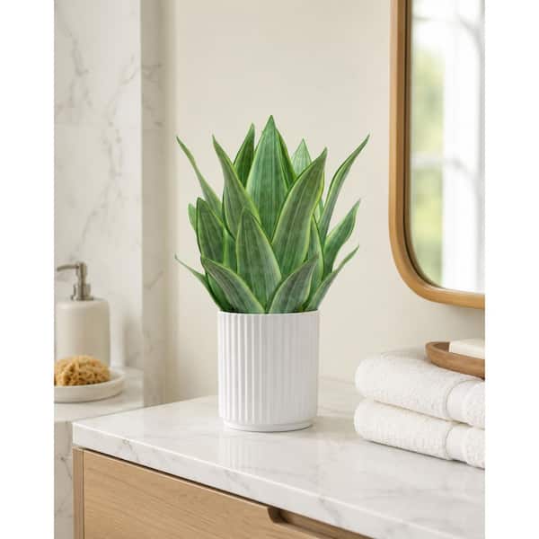 17 in. Artificial Real Touch Snake Plant in Fluted White Pot