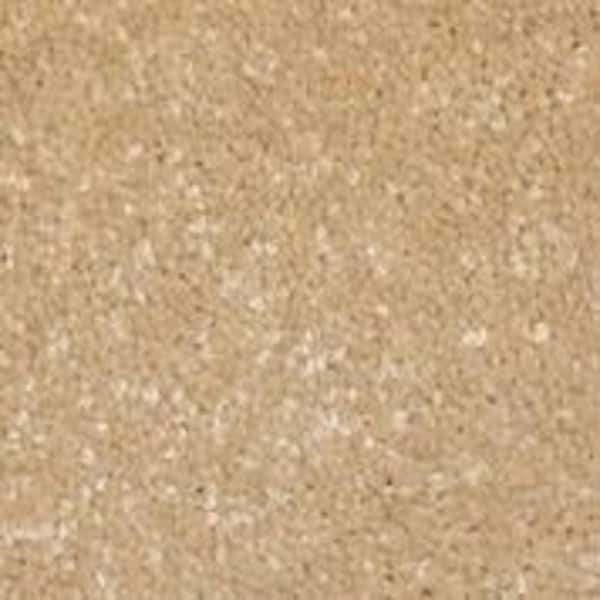 Home Decorators Collection Sycamore I - Popular - Beige 45 oz. SD Polyester Texture Installed Carpet