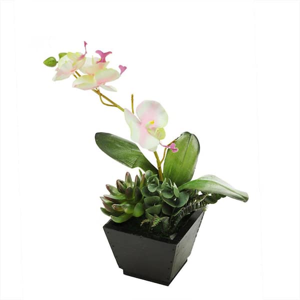 Northlight 13 in. Artificial Orchid with Succulent Plants in Pot