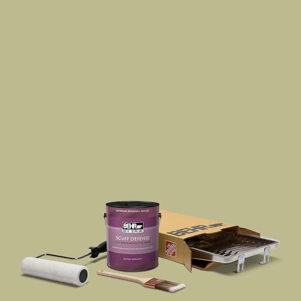BEHR 1 gal. #S340-4 Back To Nature Extra Durable Eggshell Enamel Interior Paint & 5-Piece Wooster Set All-in-One Project Kit