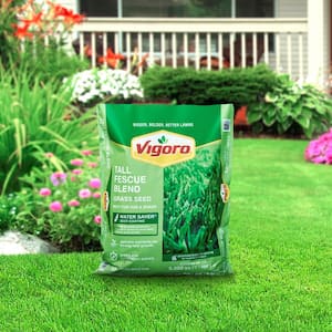 20 lbs. Tall Fescue Grass Seed Blend with Water Saver Seed Coating