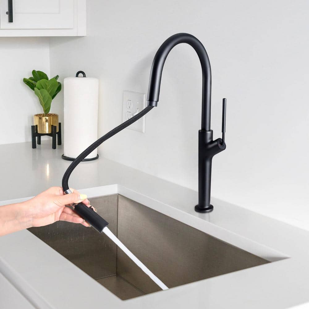 Matte Black Single Handle High Arc Kitchen Faucet with Pull-out Spray
