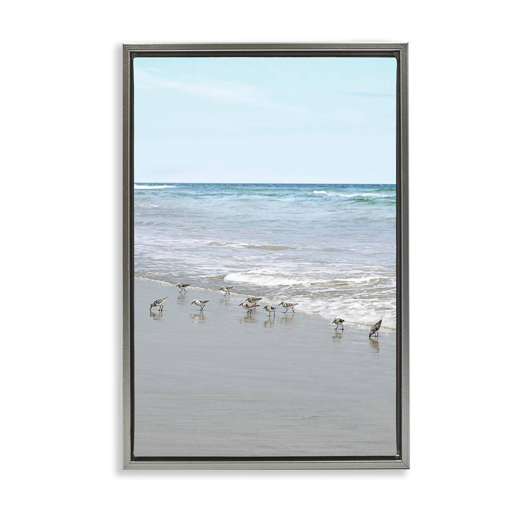 Energetic Beach Birds by Natalie Carpentieri Gray Floater Frame Coastal Graphic Art Print 25 in. x 17 in. price history on PriceWatchPro