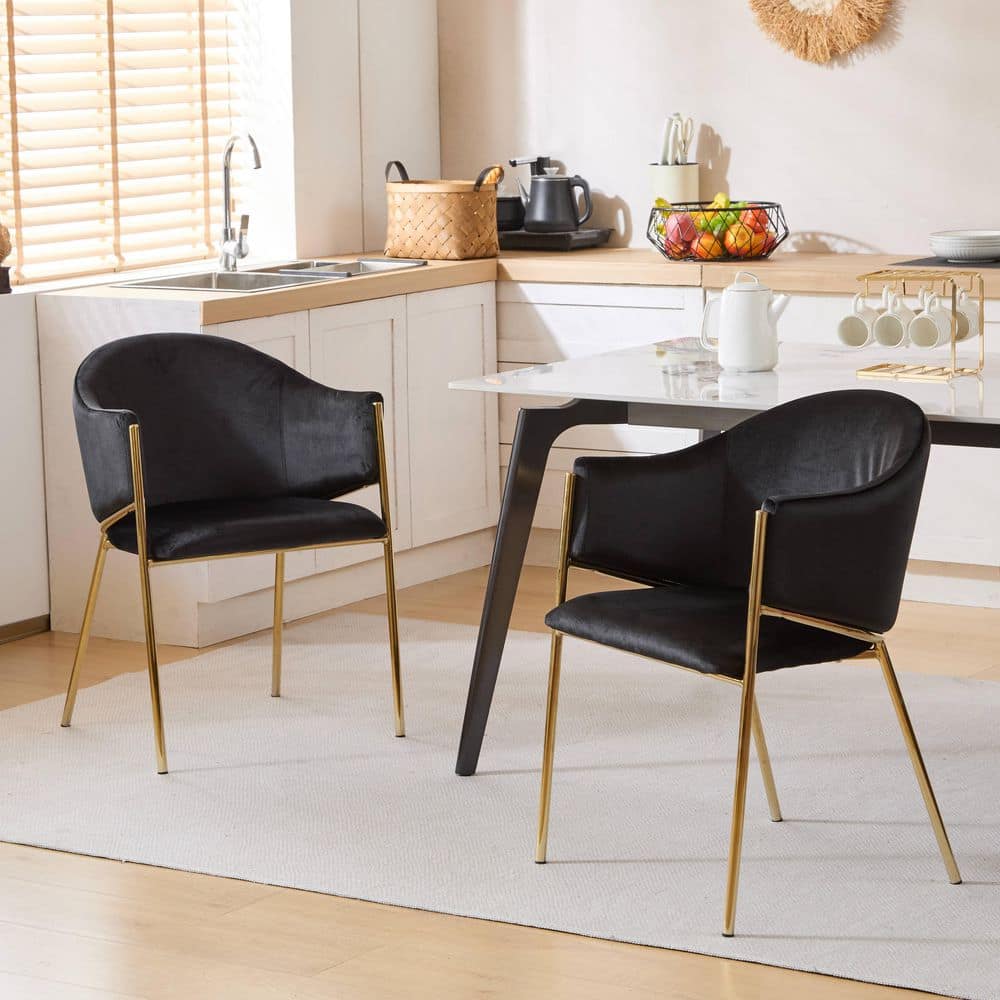 Black Finish Iron Outdoor Dining Chair (Set of 2) price history on PriceWatchPro