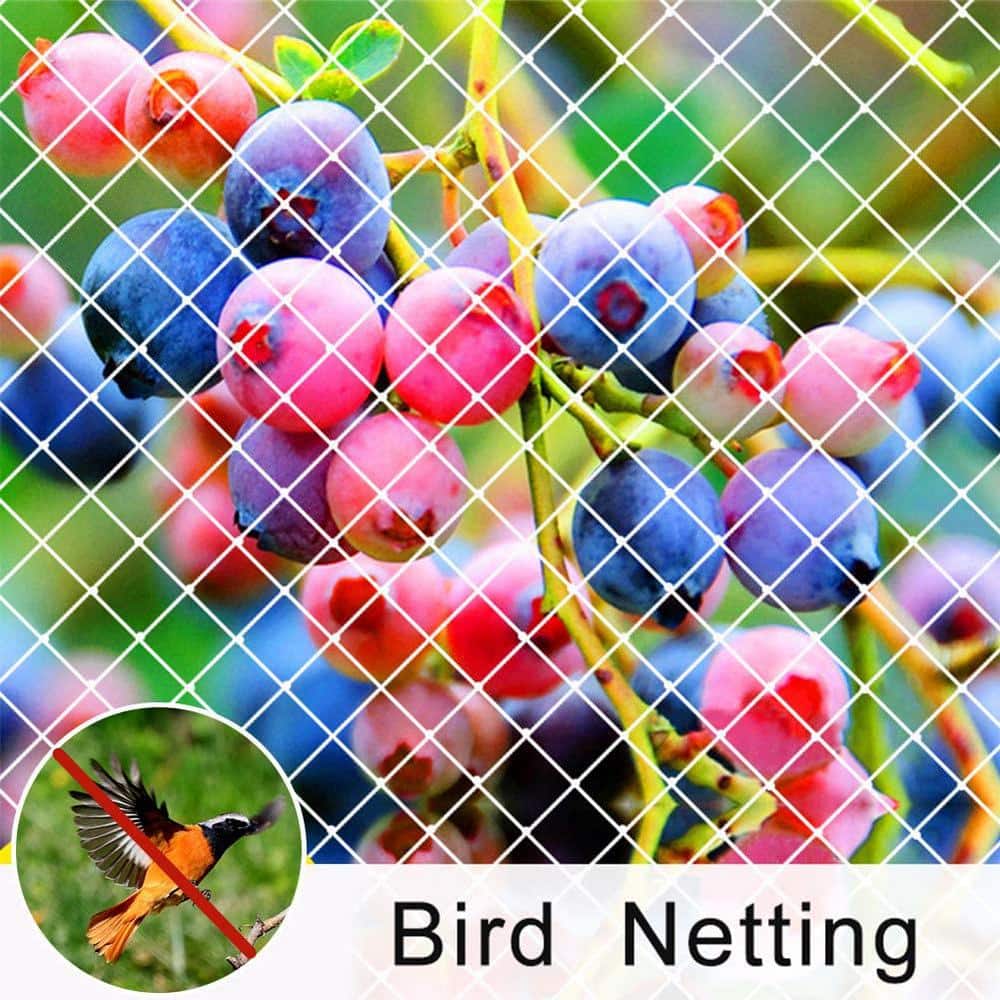 Anti Bird Netting Pond Fruit Tree Vegetables Net Protection Crops Flower DURABLE 