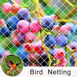 10 ft. x 36 ft. White Garden Bird Netting Anti Bird Protection Net Fruit Vegetables Flower Garden Pond Netting