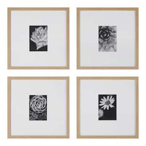 Ash Modern Frame with White Matte Gallery Wall Picture Frames (Set of 4)