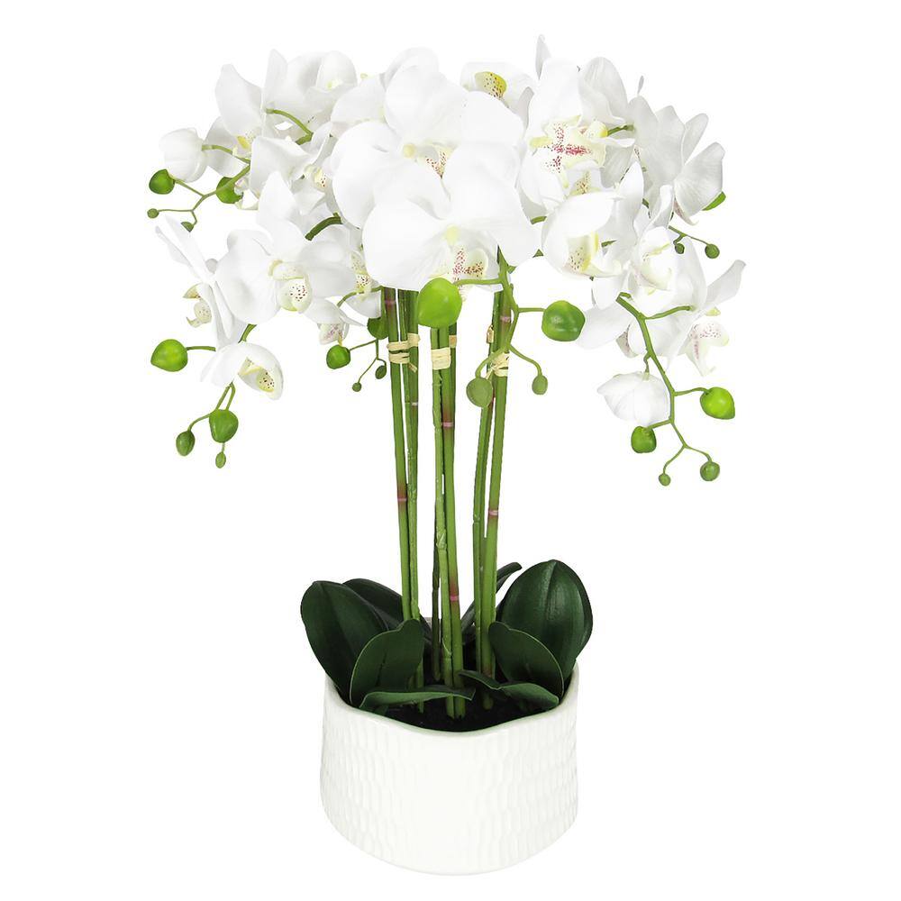 20 in. 6-Stem Cream White Artificial Phalaenopsis Orchid Flower