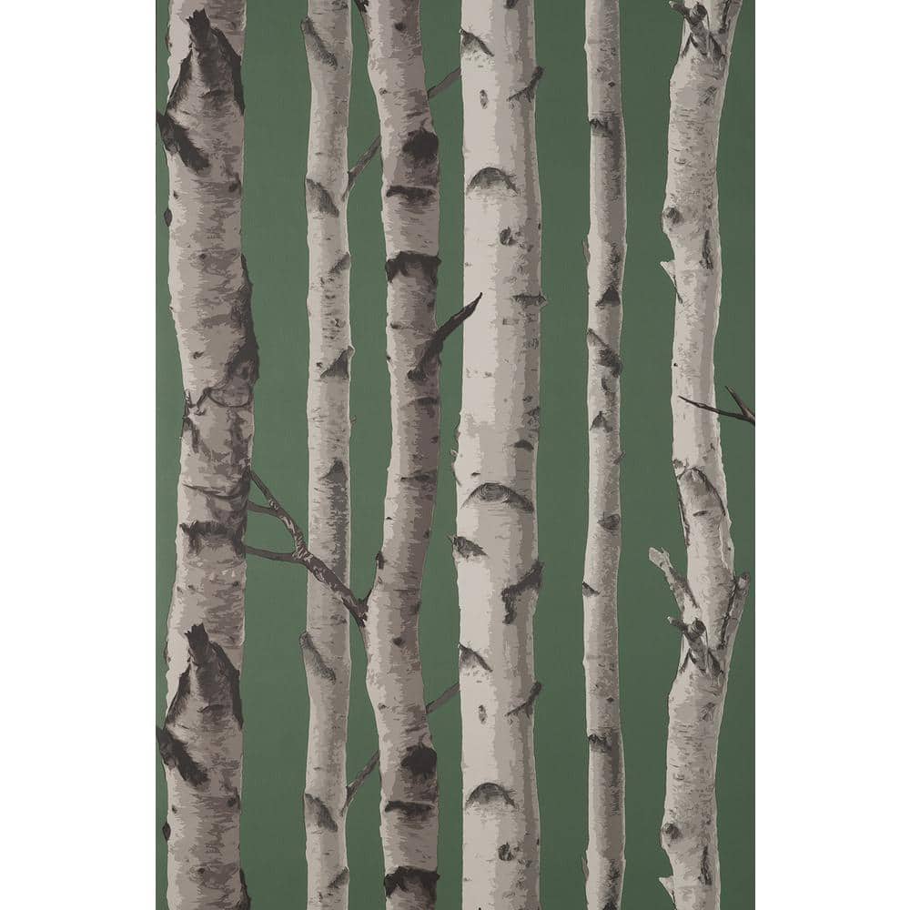 Hunter Green and White Birch Trees Non-pasted Wallpaper Roll
